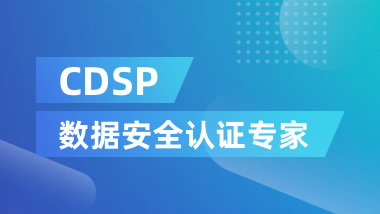 CDSP数据安全认证专家